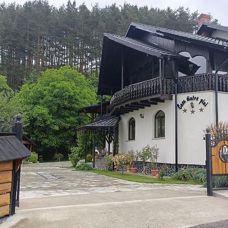 Vila Casa Dintre Pini Păltinoasa Exteriér fotografie