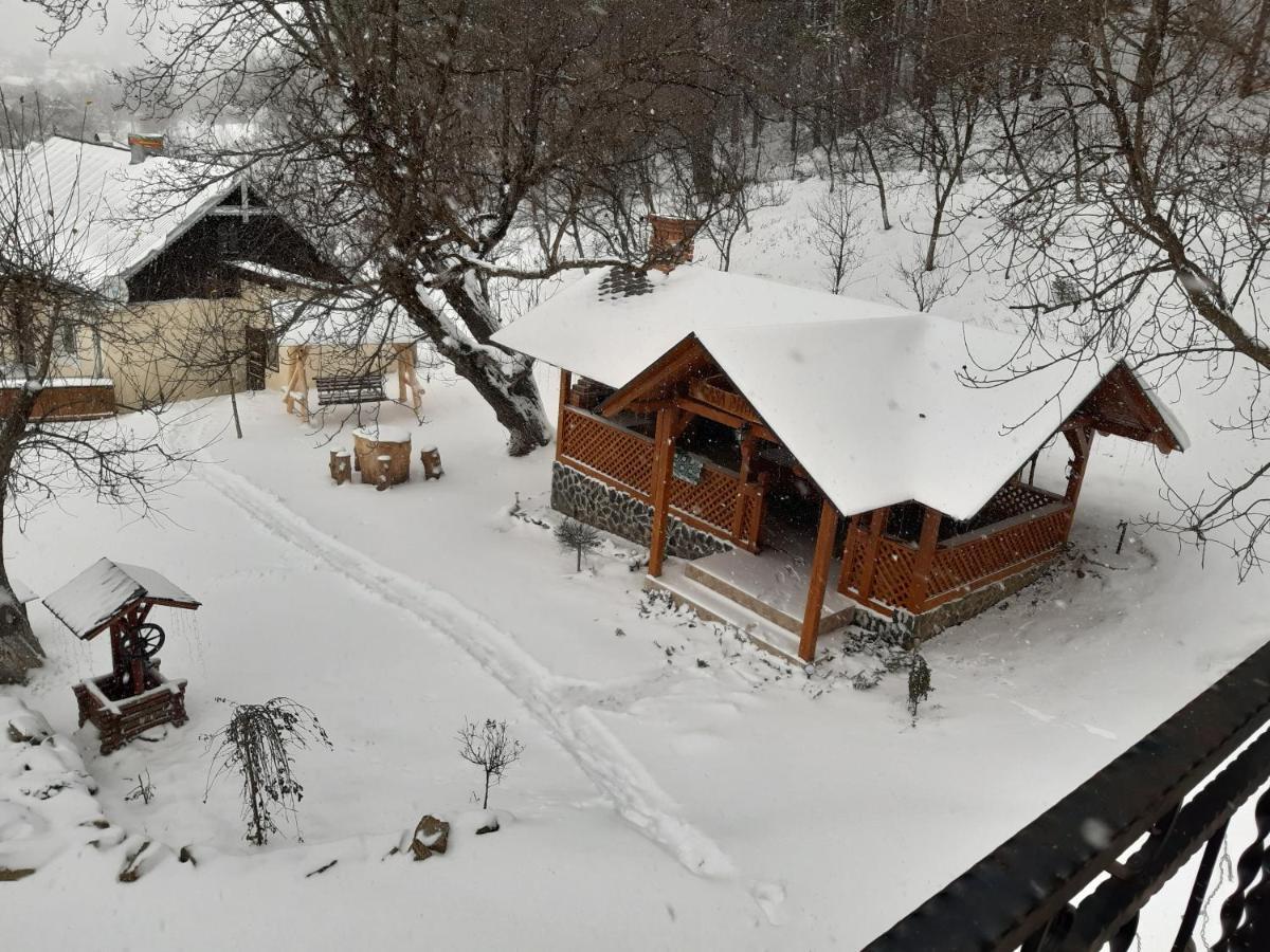 Vila Casa Dintre Pini Păltinoasa Exteriér fotografie