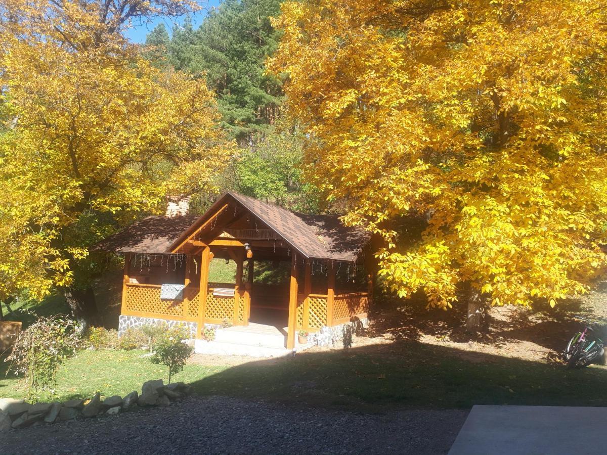 Vila Casa Dintre Pini Păltinoasa Exteriér fotografie