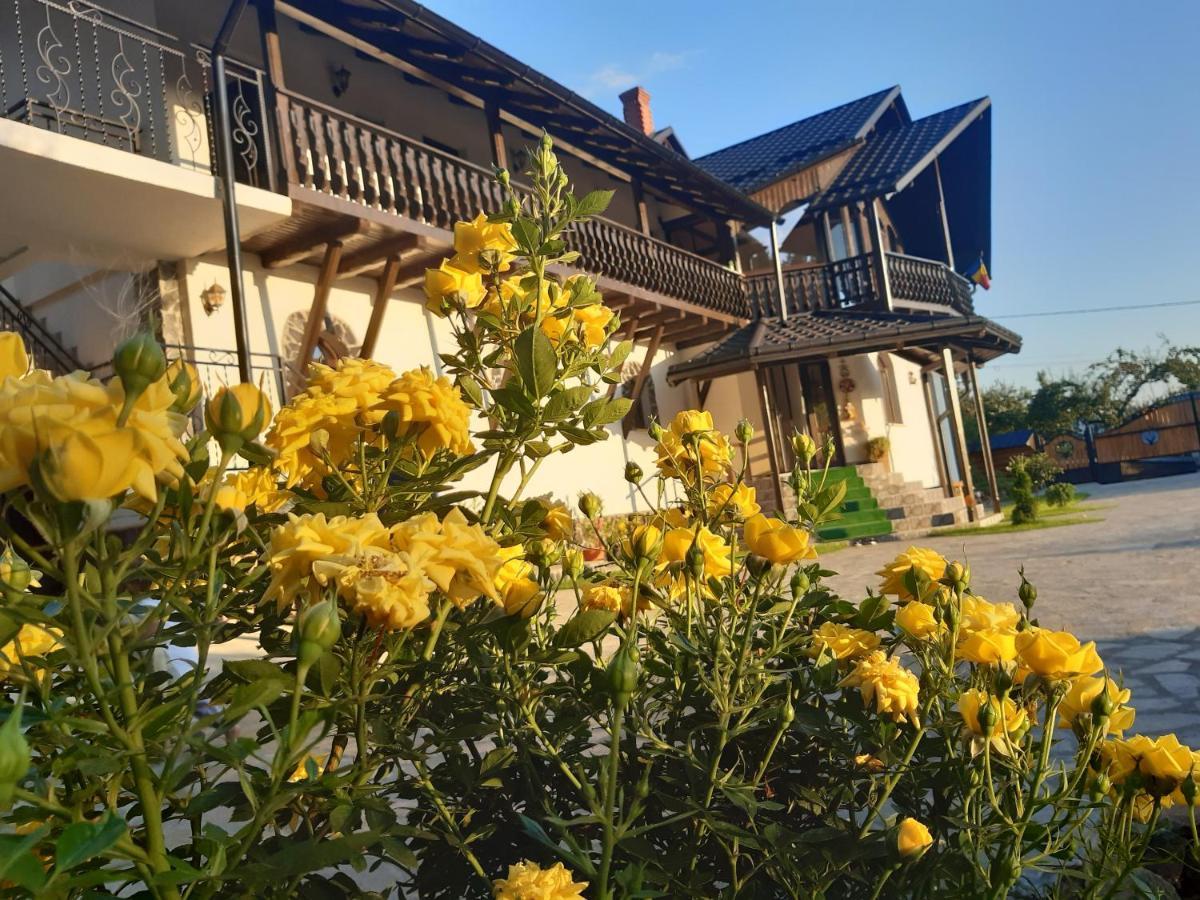 Vila Casa Dintre Pini Păltinoasa Exteriér fotografie