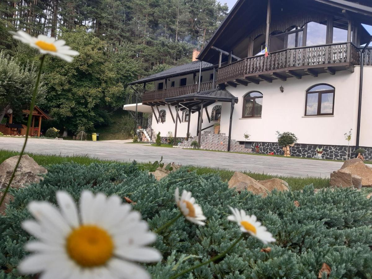Vila Casa Dintre Pini Păltinoasa Exteriér fotografie