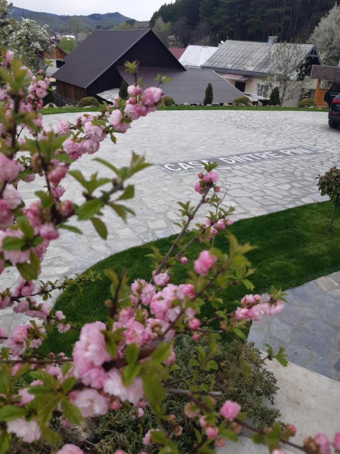 Vila Casa Dintre Pini Păltinoasa Exteriér fotografie