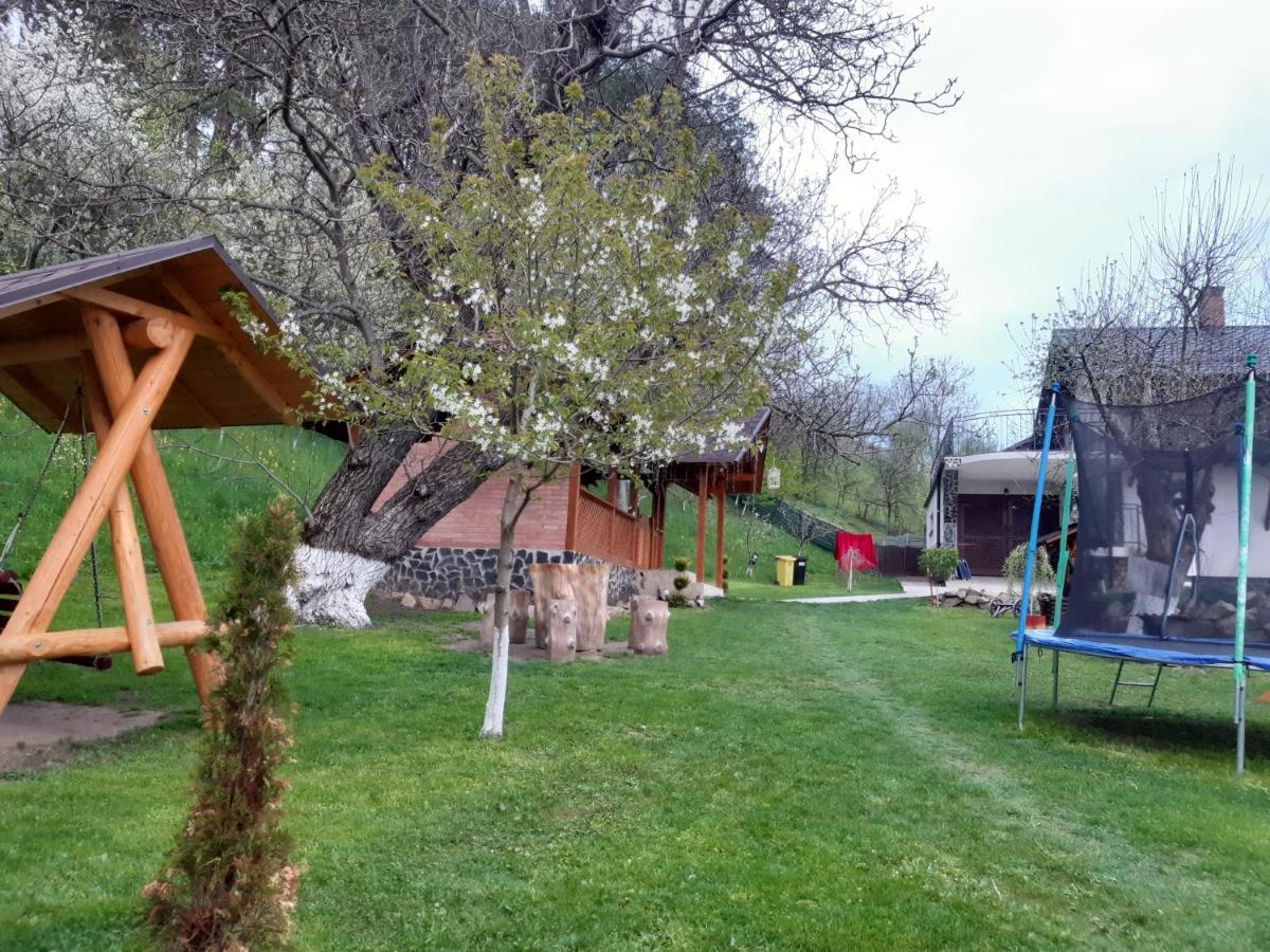 Vila Casa Dintre Pini Păltinoasa Exteriér fotografie