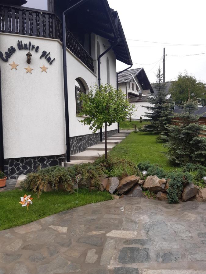 Vila Casa Dintre Pini Păltinoasa Exteriér fotografie