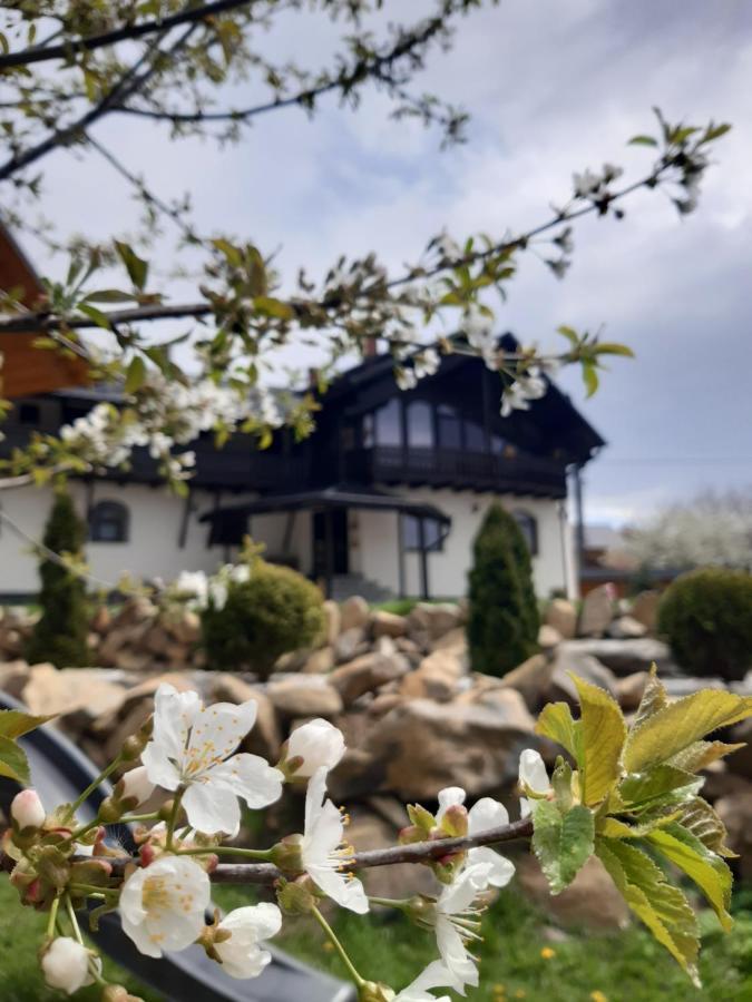 Vila Casa Dintre Pini Păltinoasa Exteriér fotografie