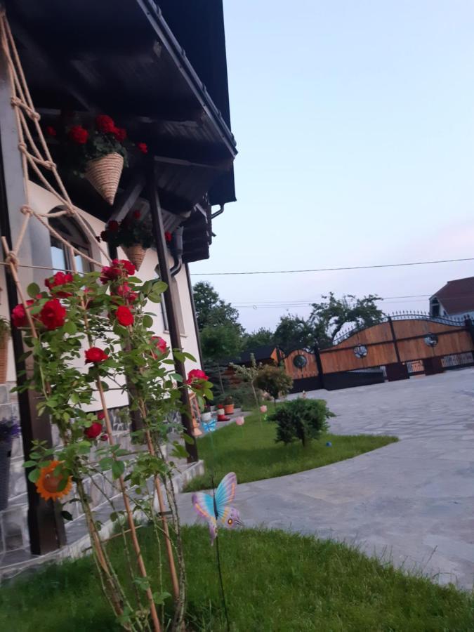 Vila Casa Dintre Pini Păltinoasa Exteriér fotografie