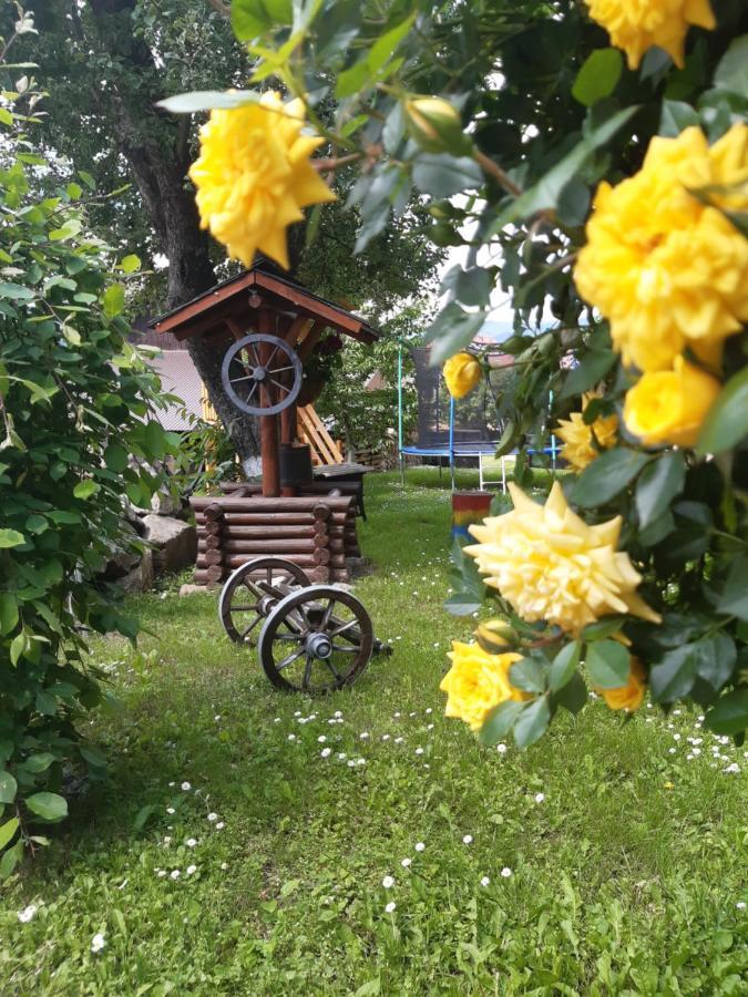 Vila Casa Dintre Pini Păltinoasa Exteriér fotografie