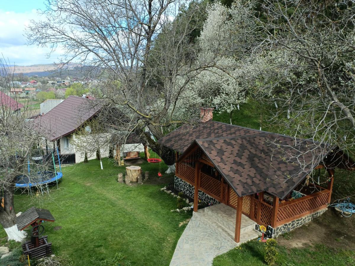 Vila Casa Dintre Pini Păltinoasa Exteriér fotografie
