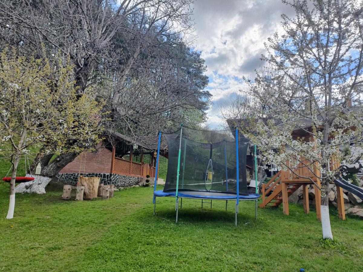 Vila Casa Dintre Pini Păltinoasa Exteriér fotografie