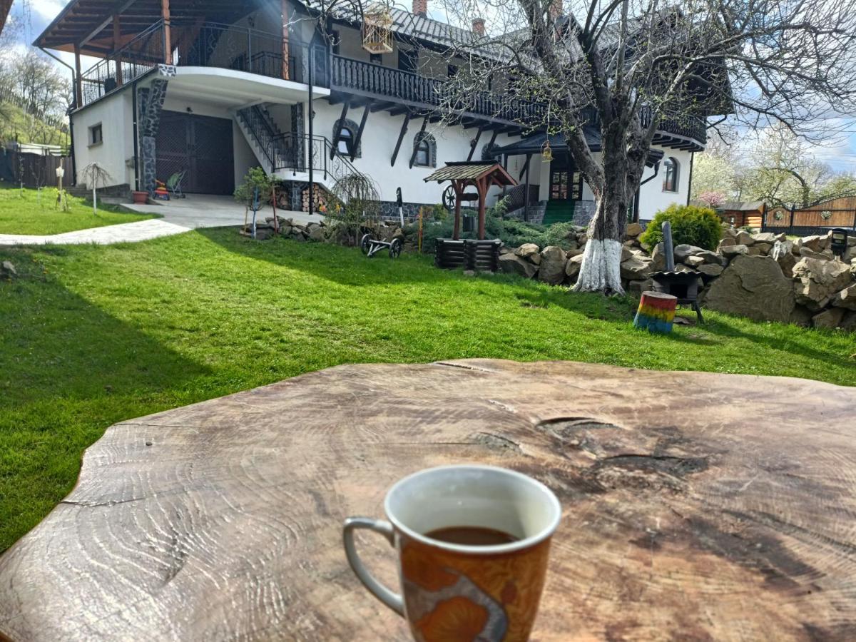 Vila Casa Dintre Pini Păltinoasa Exteriér fotografie