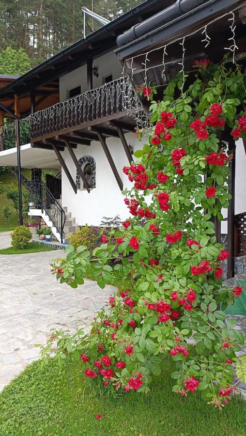 Vila Casa Dintre Pini Păltinoasa Exteriér fotografie