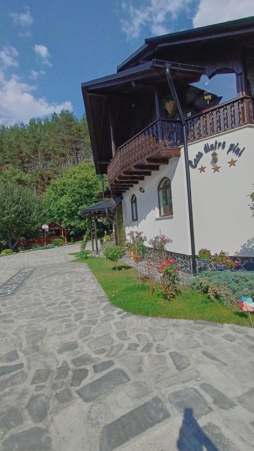 Vila Casa Dintre Pini Păltinoasa Exteriér fotografie