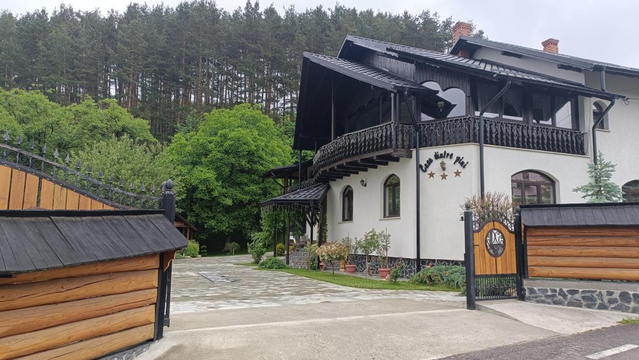 Vila Casa Dintre Pini Păltinoasa Exteriér fotografie