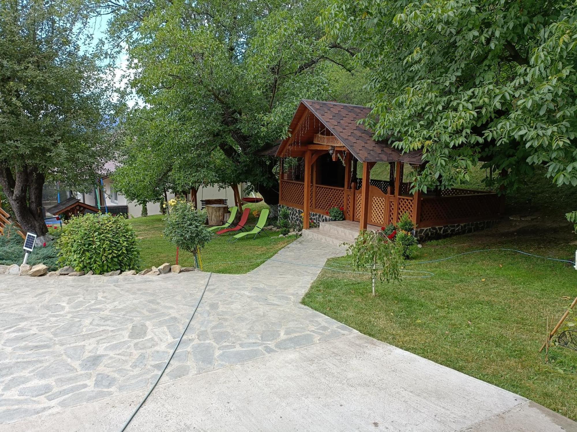 Vila Casa Dintre Pini Păltinoasa Exteriér fotografie