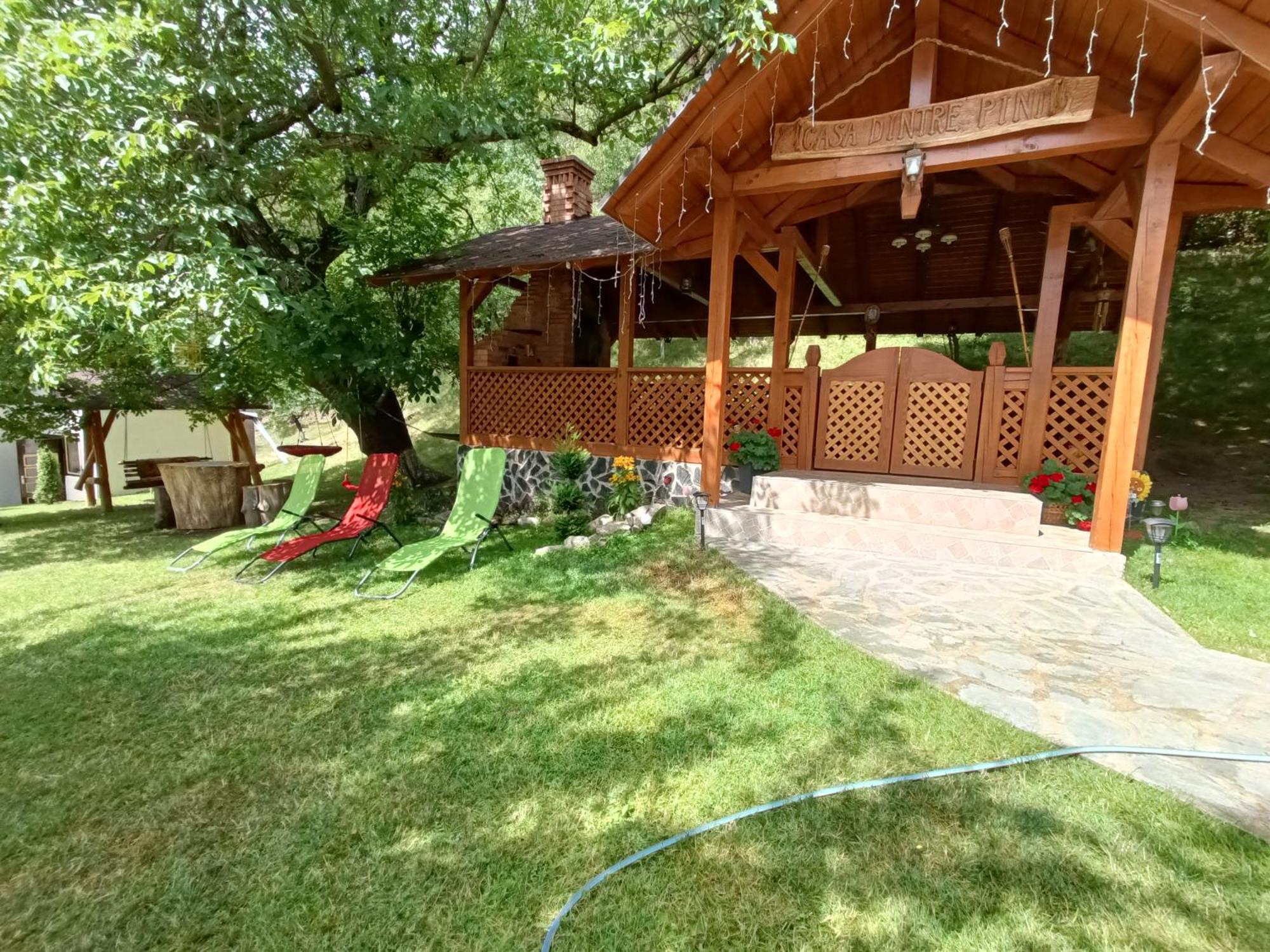 Vila Casa Dintre Pini Păltinoasa Exteriér fotografie